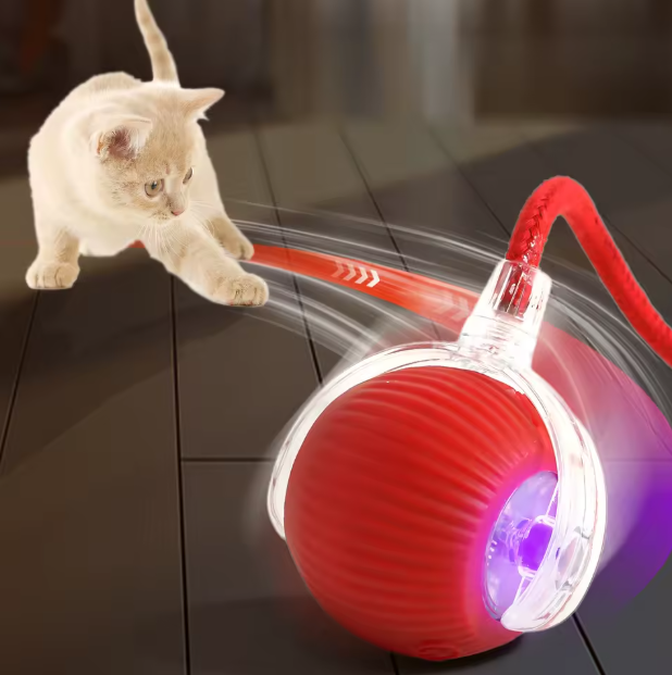 Pelota Loca Para Mascotas